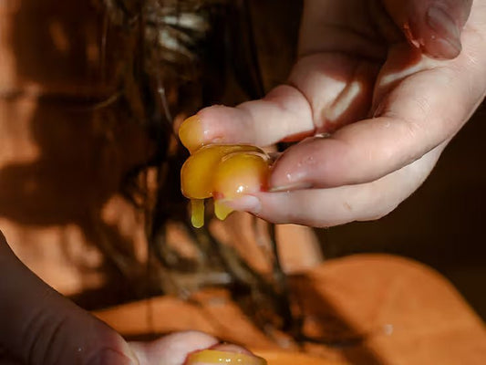 Discover the Sweet Benefits of Our Honey Packs - AfterDarkHoney